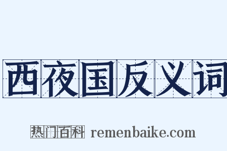 西夜国反义词是什么意思的图片